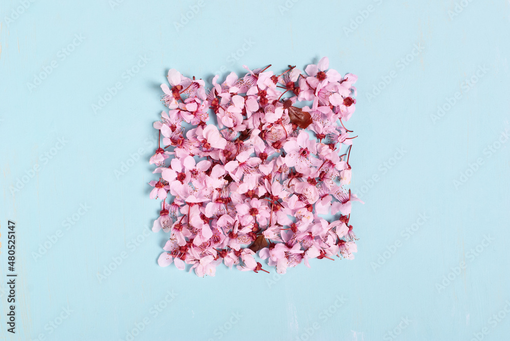 Fototapeta premium Spring flowers in square shape on blue background.
