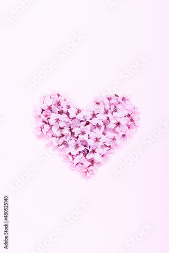 Spring flowers in heart shape on pink paper  for valentine's, Mothers day concept.