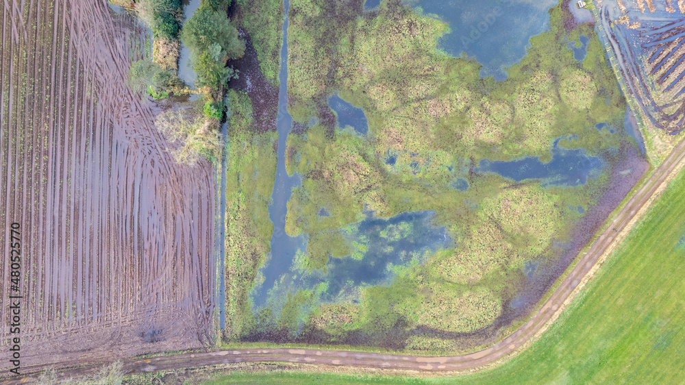 Flooded Land or landscape of green field with lots of water in aerial view. Include agriculture farm, house building, village. That real estate or property. Plot of land for housing subdivision Flooded Land or landscape of green field with lots of water in aerial view. Include agriculture farm, house building, village. That real estate or property. Plot of land for housing subdivision