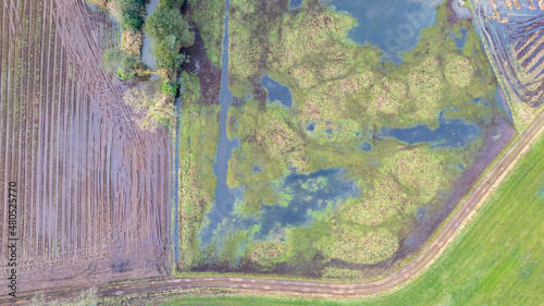 Flooded Land or landscape of green field with lots of water in aerial view. Include agriculture farm, house building, village. That real estate or property. Plot of land for housing subdivision
