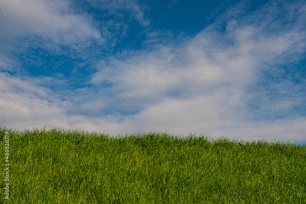 White clouds in the sky and green grass on the slope. White clouds in the sky and green grass on the slope.