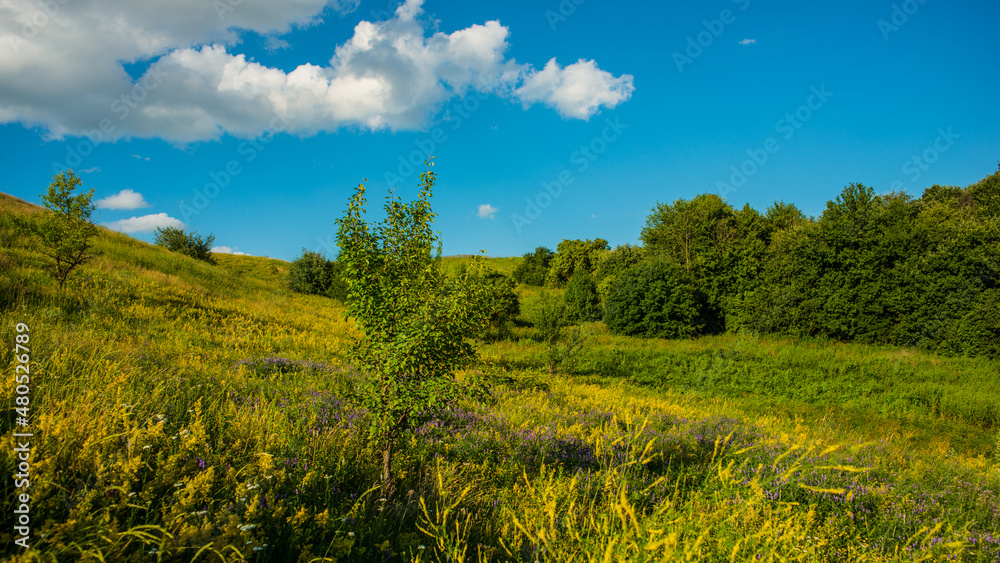 White clouds and flowering meadows among the hills. White clouds and flowering meadows among the hills.