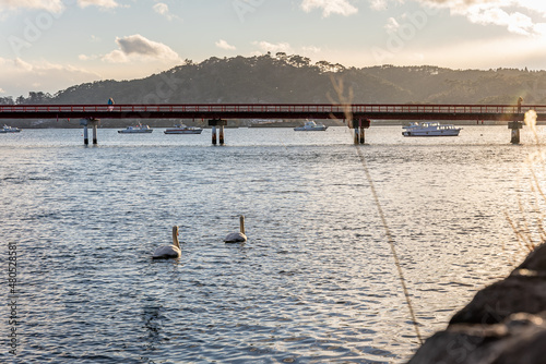 Matsushima Bay, Miyagi Japan. Fukuurabashi Bridge with Swans at Sunset