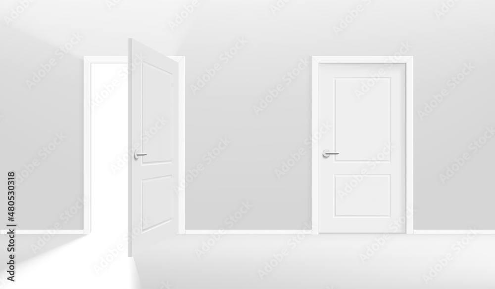 Two doors one of them is opening. Realistic 3d style vector illustration Two doors one of them is opening. Realistic 3d style vector illustration