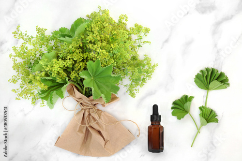 Ladies mantle herb with essential oil bottle used in herbal plant medicine to treat female menstrual and menopausal problems, is anti inflammatory, an astringent and used to heal skin conditions. On m photo