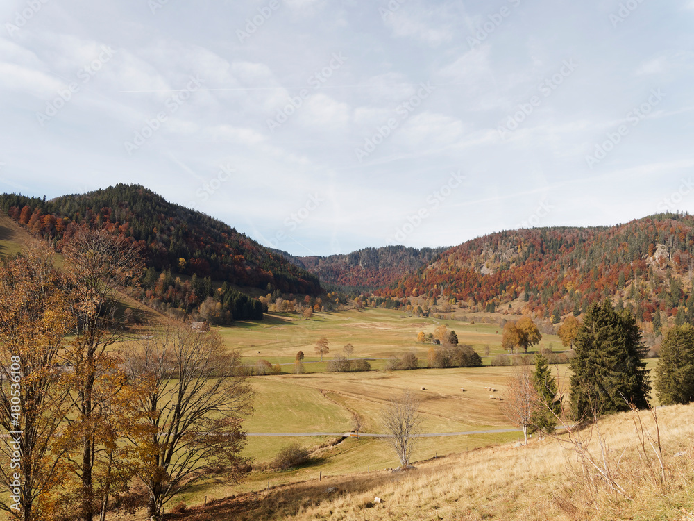 Fototapeta premium Menzenschwand im Südschwarzwald. Idyllisch malerisch Naturschutzgebiet am Südhang des Feldberges. Berge, Wälder und unberührte Wiesen in Herbstfarben