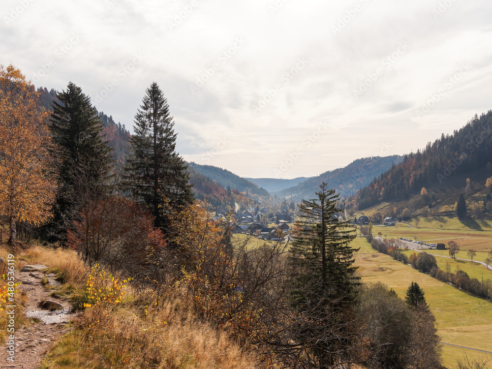Menzenschwand Hinterdorf im Südschwarzwald. Blick vom Wildapfelpfad Menzo's Wege nach Menzenschwand Hinterdorf