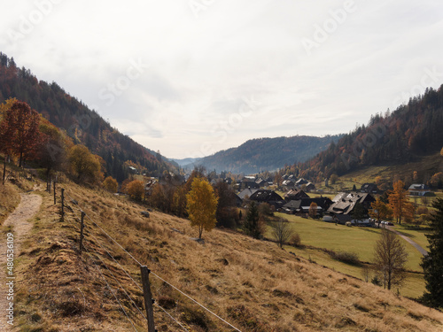 Menzenschwand Hinterdorf im Südschwarzwald. Blick vom Wildapfelpfad Menzo's Wege photo