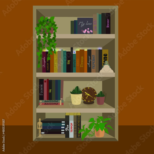 Bookshelf with books