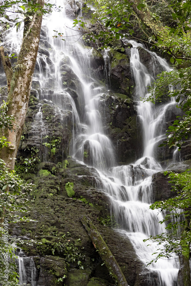 Beautiful waterfall in tropical rain forest. Costa Rica