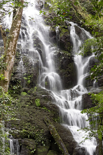 Fototapeta Naklejka Na Ścianę i Meble -  Beautiful waterfall in tropical rain forest. Costa Rica