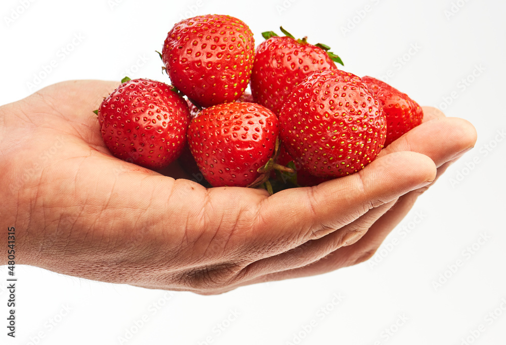 Obraz premium handful of strawberries