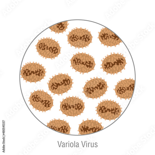 Variola virus and smallpox, pathogenic bacteria. Bacterial microorganism. Microbiology, infographic