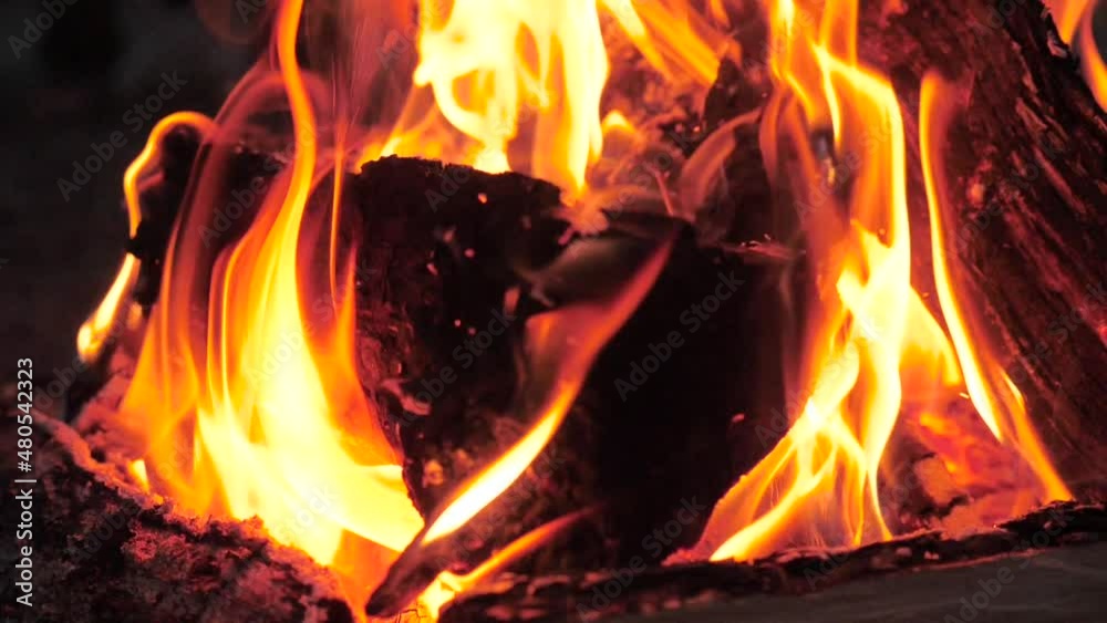 Firewood is burning in a campfire in nature Firewood is burning in a campfire in nature