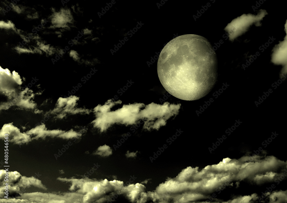 Fototapeta premium The moon in the night sky