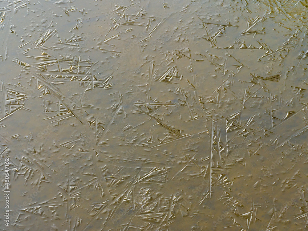 winter sketch, tracery on ice of frozen pond winter sketch, tracery on ice of frozen pond