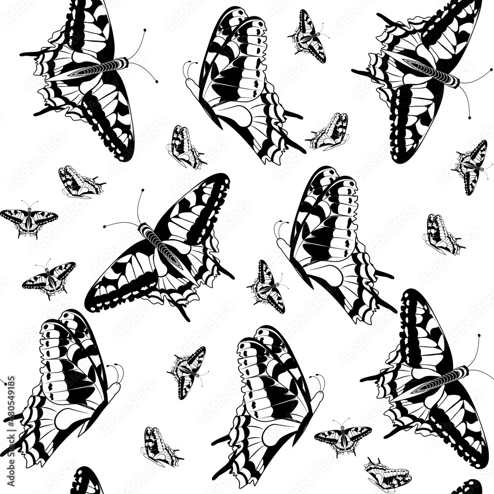 Seamless pattern of flying butterflies black and white colors Monochrome background of fluttering silhouettes
