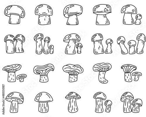 Edible forest mushrooms. Mushrooms for food. Set of vector icons, offline, isolated
