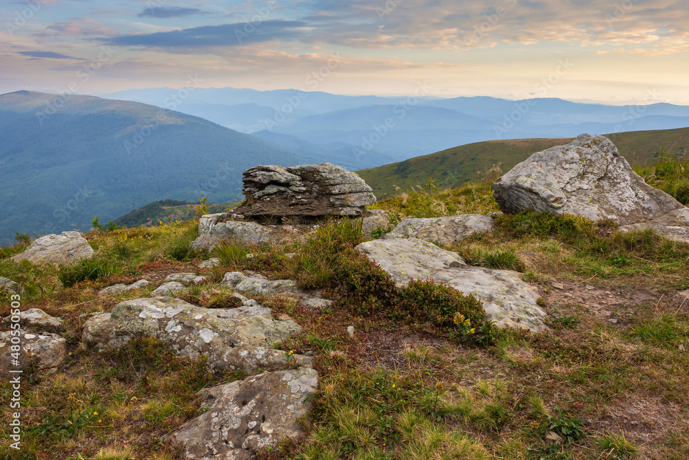 summer mountain landscape. stones on the grassy hill. scenic nature background in the morning. clouds on the sky. outdoor travel concept