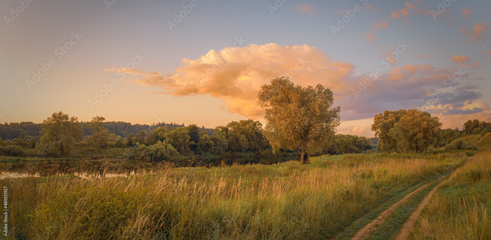 Autumn landscape with trees at sunset
