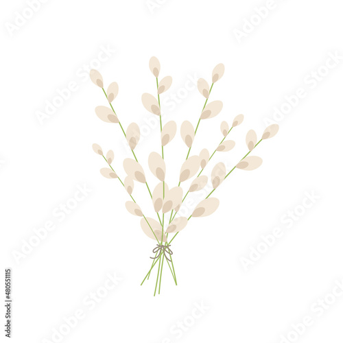 Willow bouquet vector illustration. Cat varnishes spring twigs.