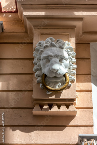 Ornamento de cabeza de león en edificio de Cádiz photo