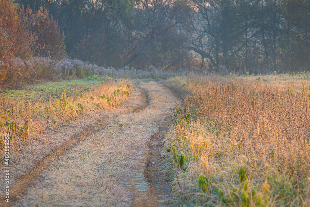 Curved path in the autumn field with frozen dry grass toward the forest 