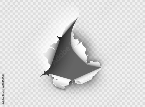 ragged Hole torn in ripped paper on transparent background