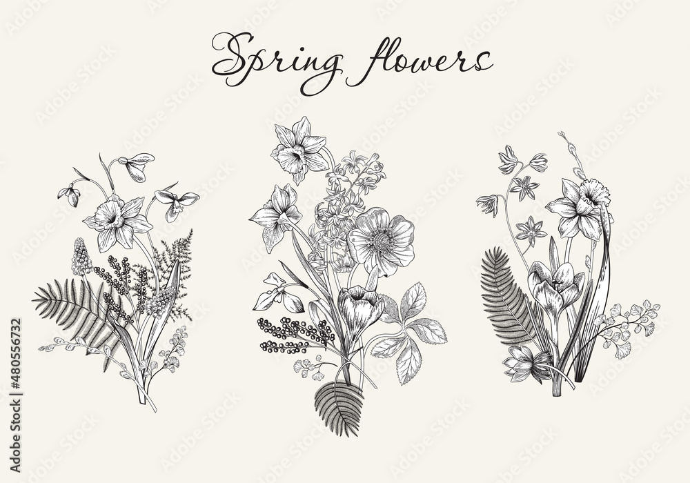 Spring flowers. Blooming garden. Vector illustration.
