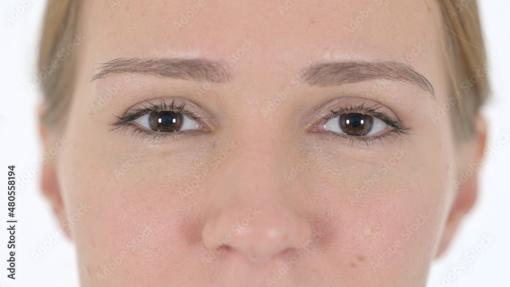 Close up of Blinking Eyes of Woman Looking at Camera Close up of Blinking Eyes of Woman Looking at Camera