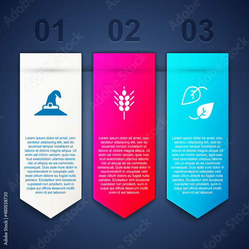 Set Witch hat  Wheat and Leaf. Business infographic template. Vector