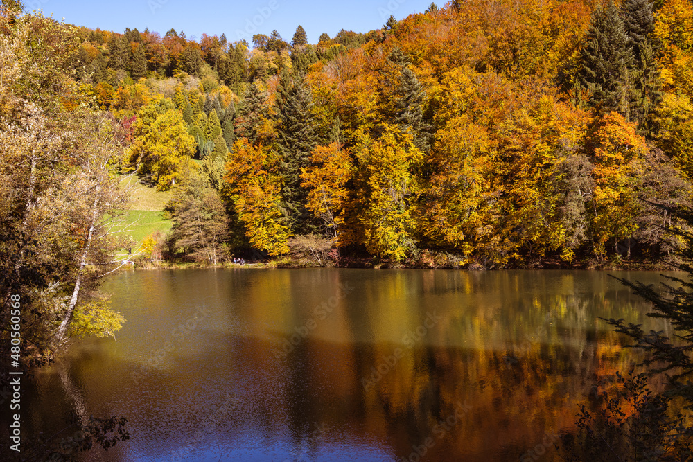 feuillage d'automne