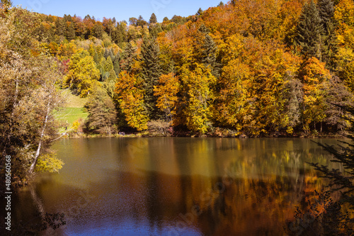 feuillage d'automne