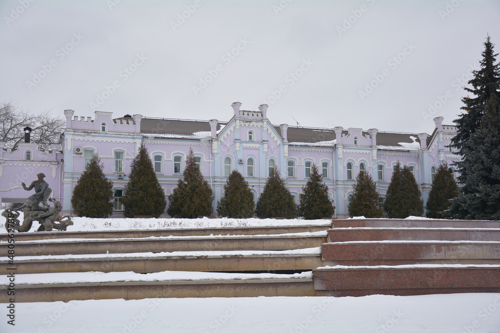 Fototapeta premium view of the palace in the snow
