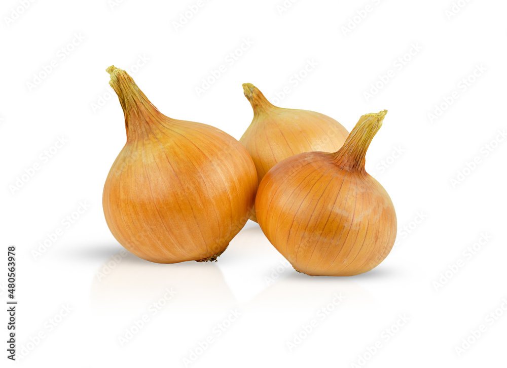 Fototapeta premium Three pieces of ripe onions, isolated on a white background