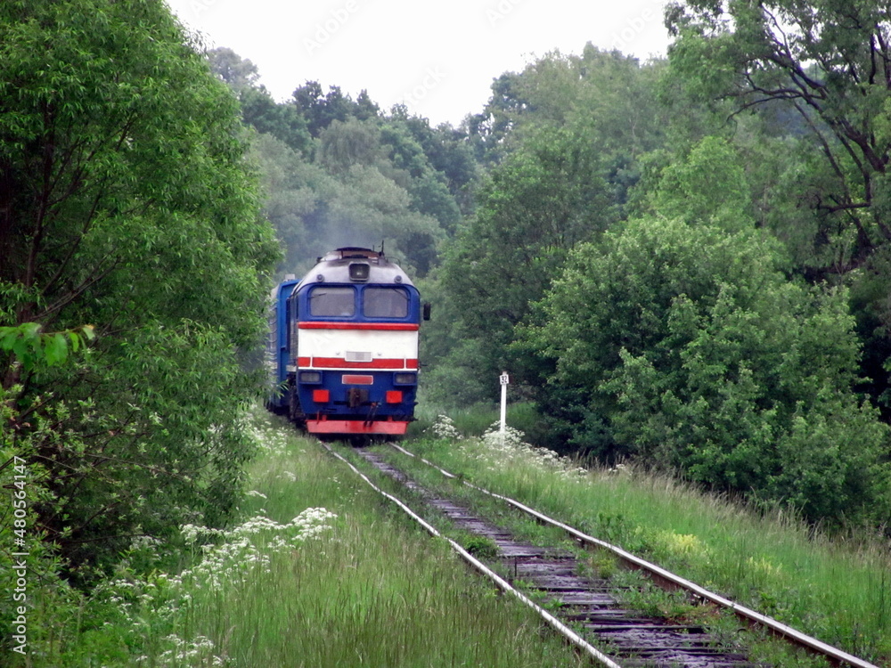Naklejka premium A suburban train approaches the station