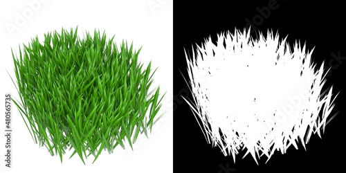 3D rendering illustration of some blades of grass