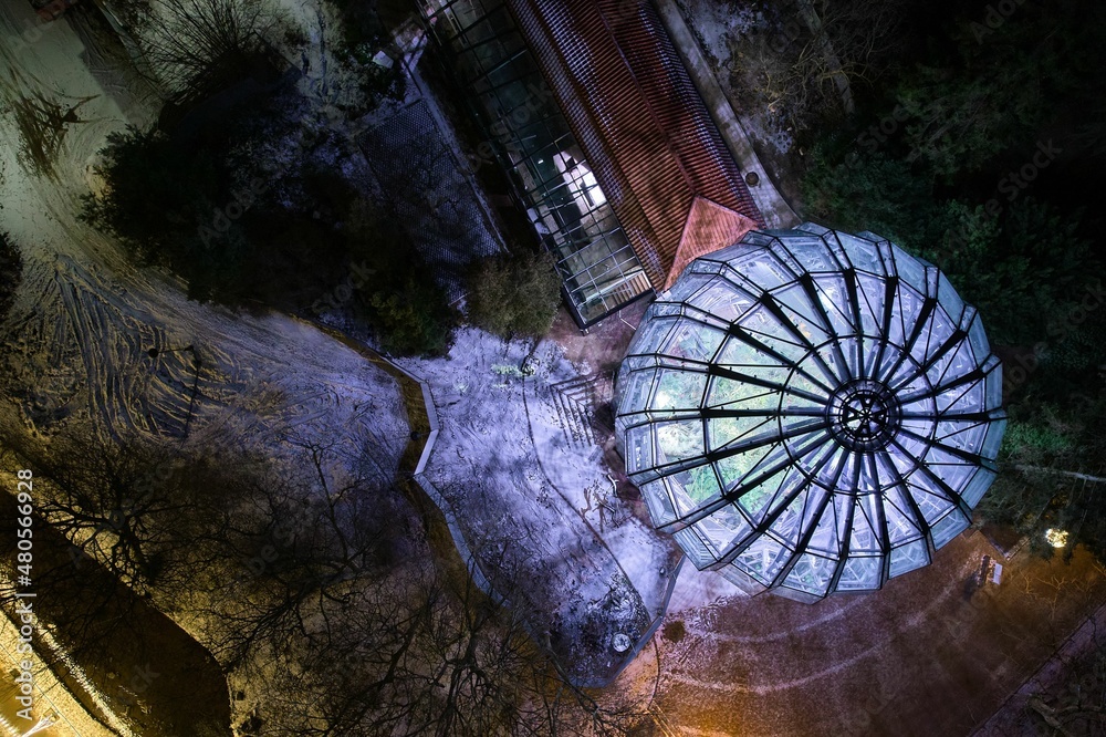 the palm house in Gdańsk illuminated with purple light in the evening