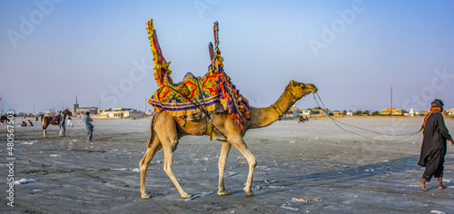 Fotografía Camel Ride At Sea View Clifton Beach, Karachi, Pakistan