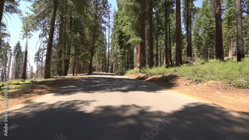 Sequoia National Park Driving Plate Crescent Meadow Rd Westbound 12 Autoblog In Sierra Nevada Mts California photo