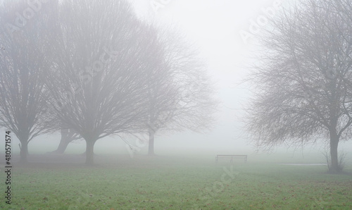 Very foggy winter day in the local park 