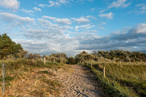 Düne