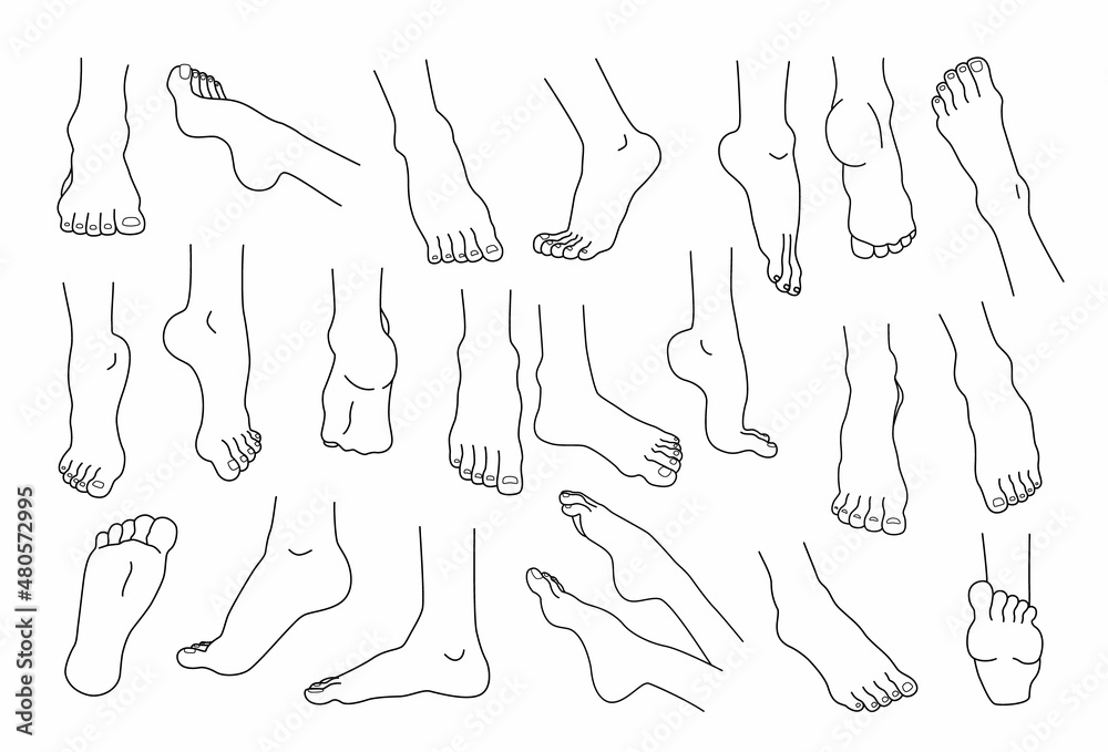 Line feet. Woman ankles and legs with heels and fingers. Beauty or medicine human body infographic elements. Spa skin care and pedicure. Naked foot soles. Vector barefoot sketches set Line feet. Woman ankles and legs with heels and fingers. Beauty or medicine human body infographic elements. Spa skin care and pedicure. Naked foot soles. Vector barefoot sketches set