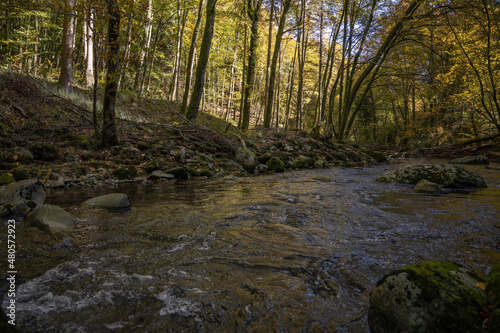 rivière dans le bois © Pyc Assaut