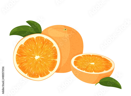Orange whole and slice of oranges with green leaves. Vector illustration of oranges isolated on white background.