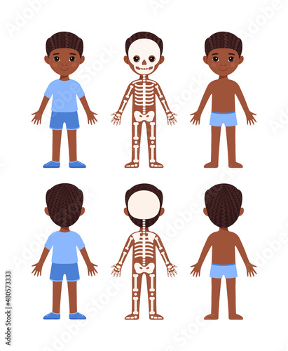 Skeletal System of a Small Child. Human Skeleton. Front and Back view. A Pretty Boy Standing and Smiling. Illustration for Lesson of Anatomy and Biology. Education for Little Children. Vector image.