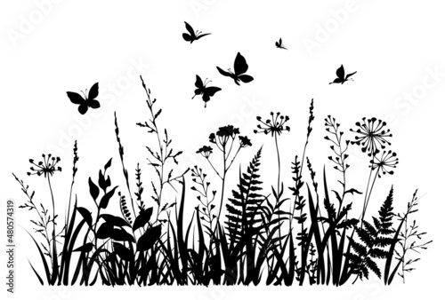 Herbs and butterflies. Spring or summer flowers. Floral field.