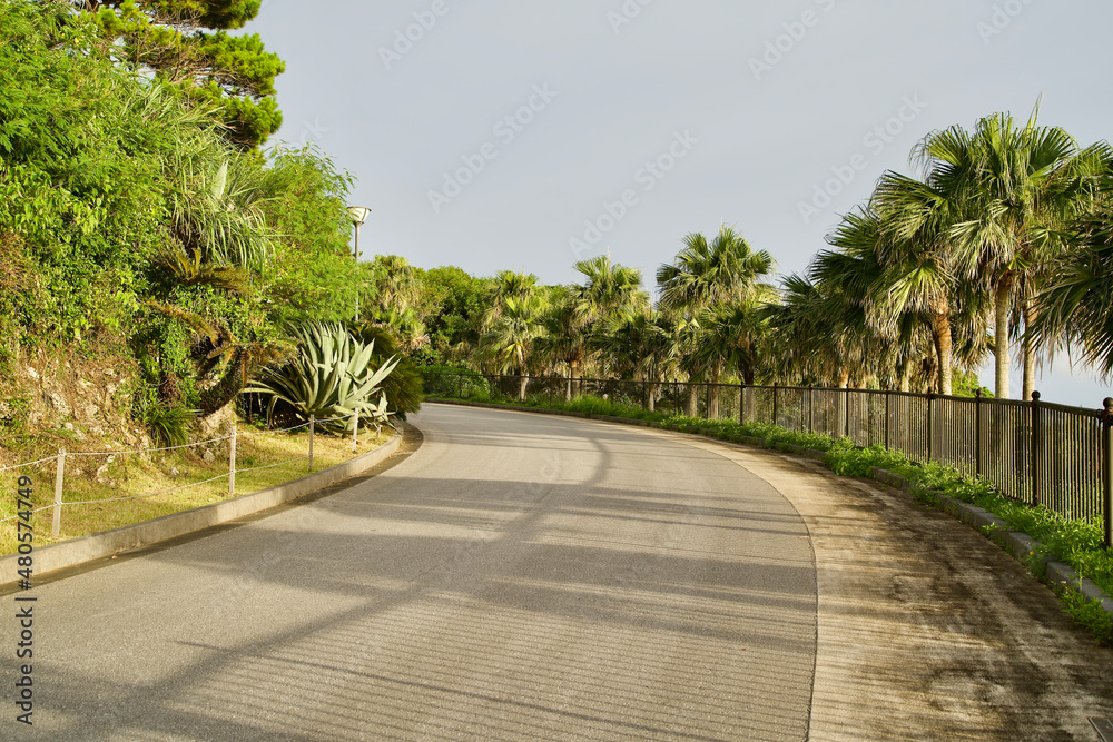 Naklejka premium An asphalt downhill at National Okinawa Park.