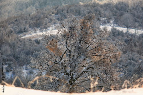 winter in the Ukrainian Carpathians during the coronavirus