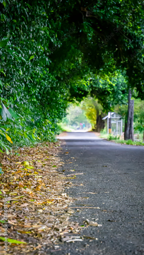 Fototapeta premium path in a single way road